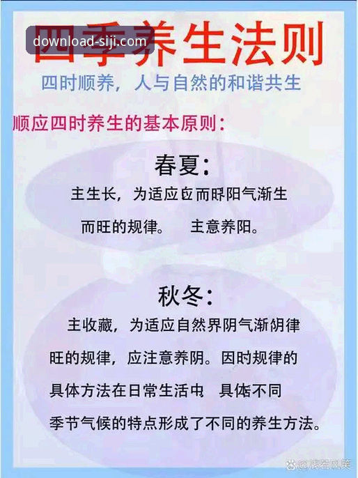 四季官方平台移动端下载指南与深度解析